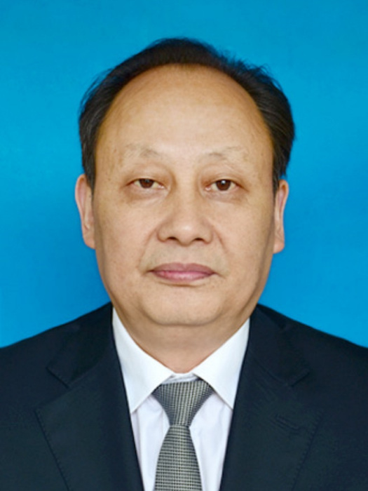 諶孫成 諶孫成
