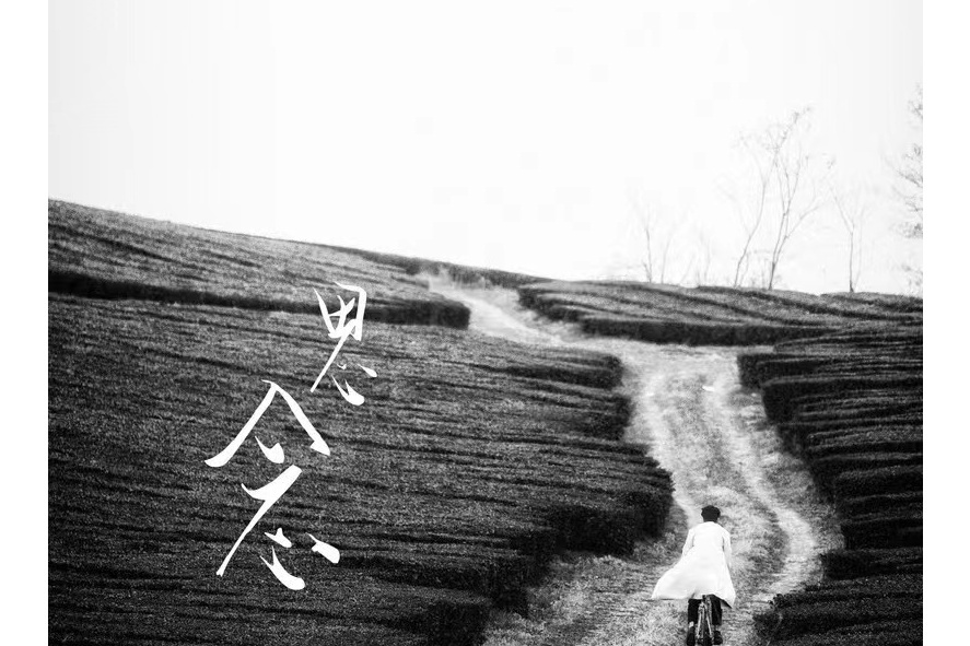 思念(荷塘月色、童燾演唱歌曲) 思念(荷塘月色、童燾演唱歌曲)