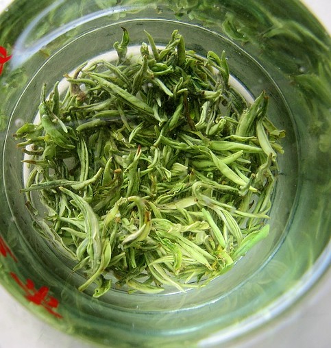 綠茶(茶葉品種)
