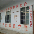 張圩村(安徽利辛縣展溝鎮下轄村) 張圩村(安徽利辛縣展溝鎮下轄村)