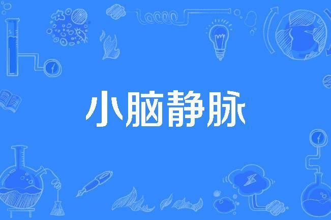 小腦靜脈 小腦靜脈