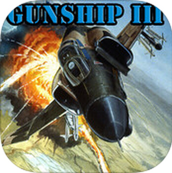 Gunship III-Combat Flight Simulator