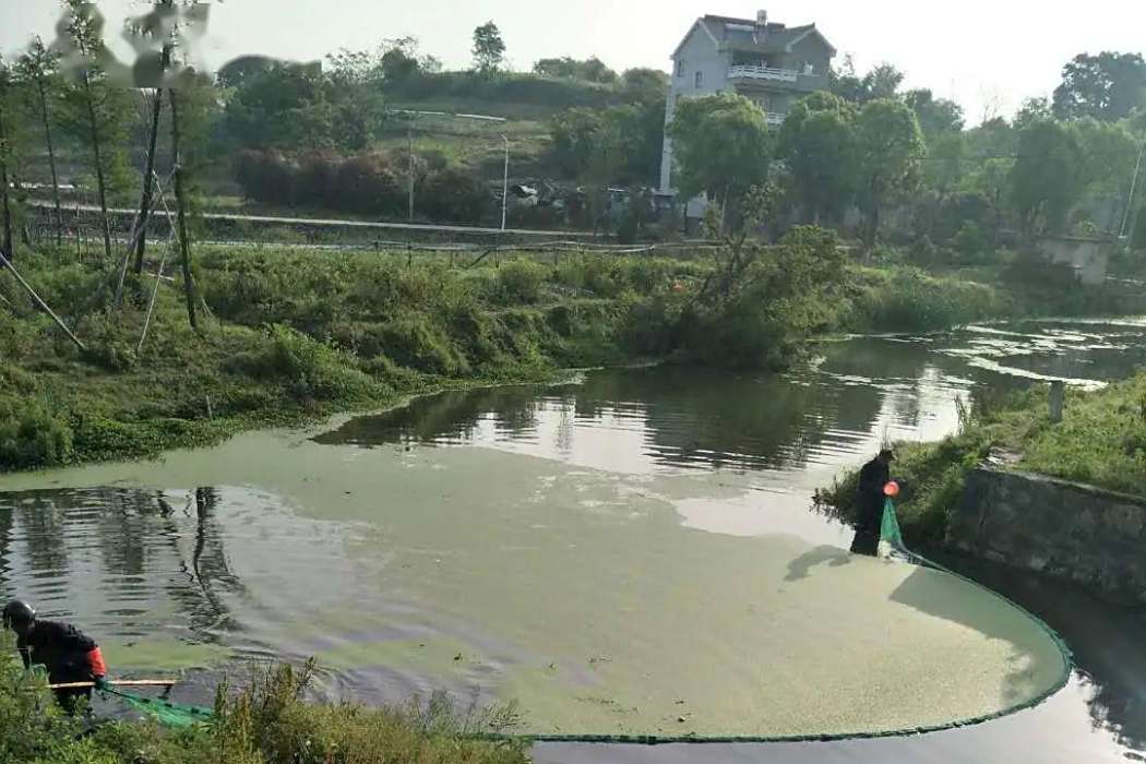 富太河