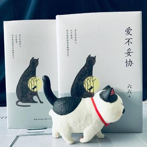 愛不妥協 愛不妥協