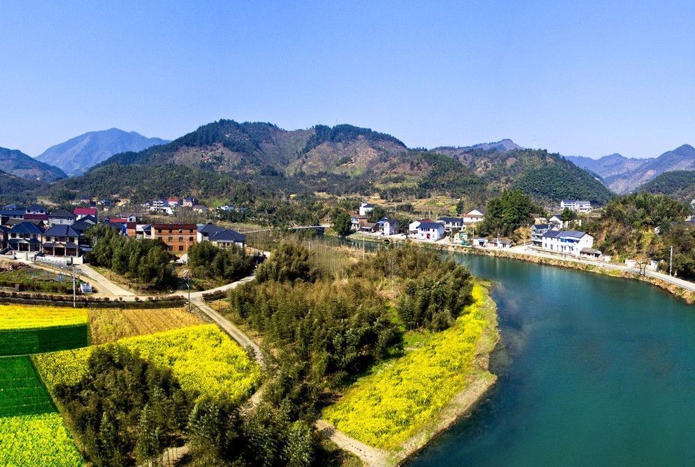 橋河村(姜振尚) 橋河村(姜振尚)