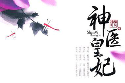 神醫皇妃(柳風拂葉著古代言情小說)