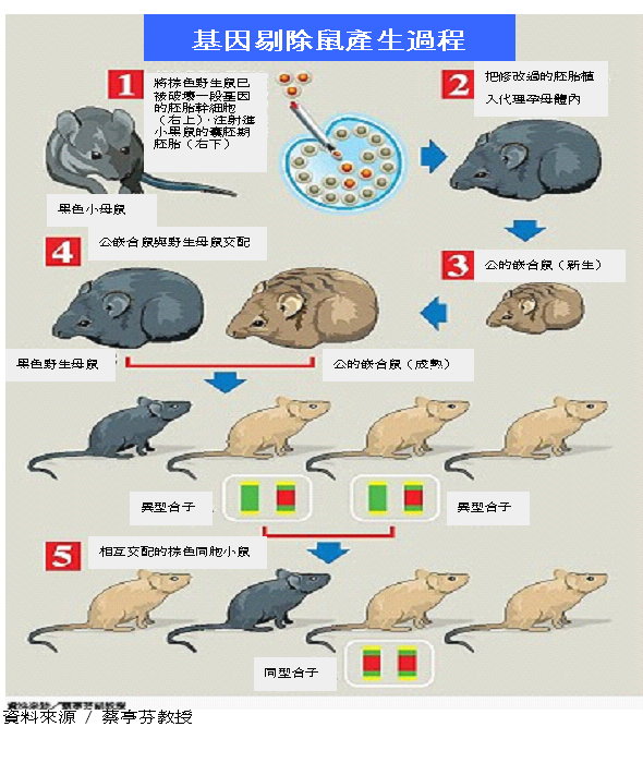 基因剔除