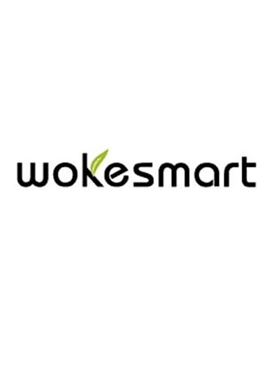 wokesmart