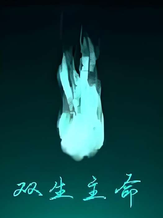 雙生主命 雙生主命