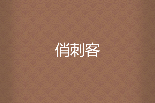 俏刺客 俏刺客