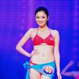 李丹(2012世界旅遊文化小姐大賽中國區總決賽亞軍)