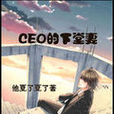 CEO的下堂妻 CEO的下堂妻