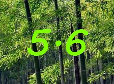 物流節 物流節
