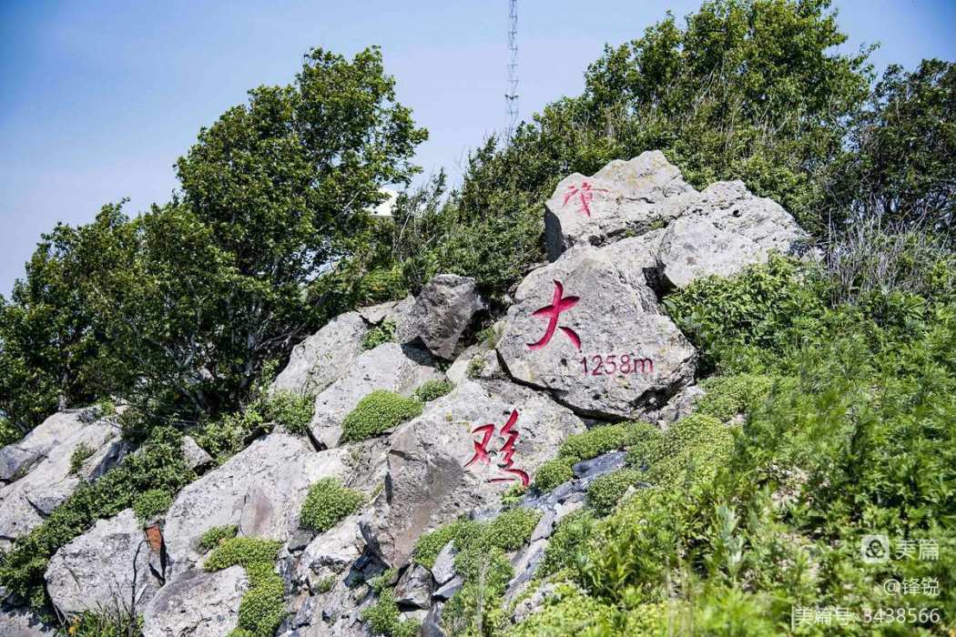 肇大雞山 肇大雞山