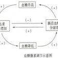 生命活動 生命活動