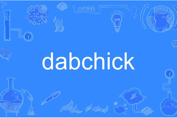 dabchick dabchick