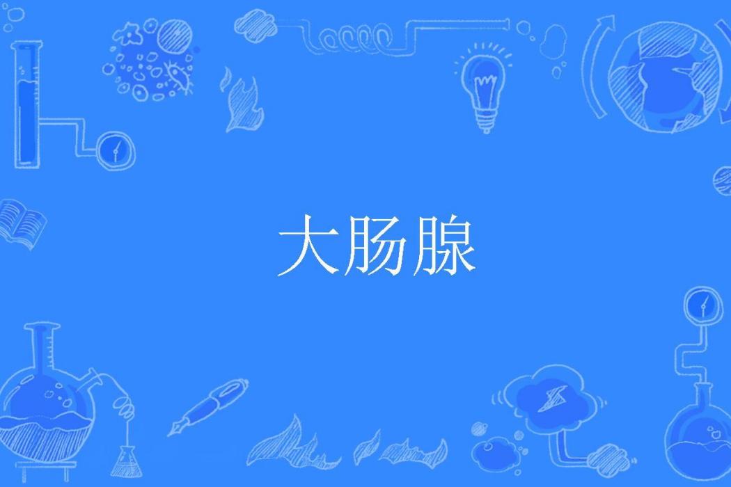 大腸腺 大腸腺