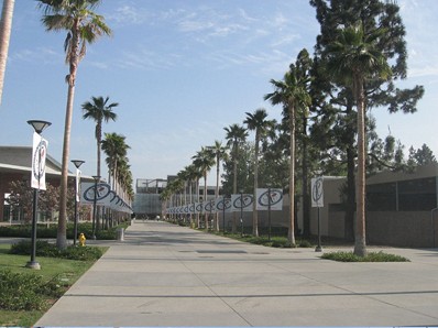 加州州立大學富爾頓分校