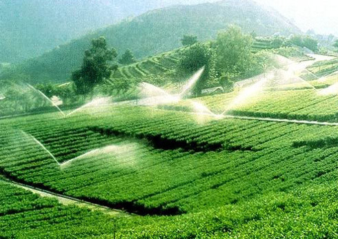 溫室灌溉