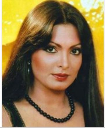 Parveen Babi Parveen Babi