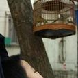 睜眼昏迷 睜眼昏迷