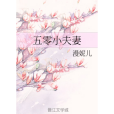 五零小夫妻 五零小夫妻