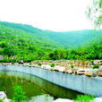 田莊村(河北省石家莊市無極縣張段固鎮下轄村) 田莊村(河北省石家莊市無極縣張段固鎮下轄村)