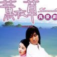 愛我不愛我(許紹洋演唱歌曲) 愛我不愛我(許紹洋演唱歌曲)