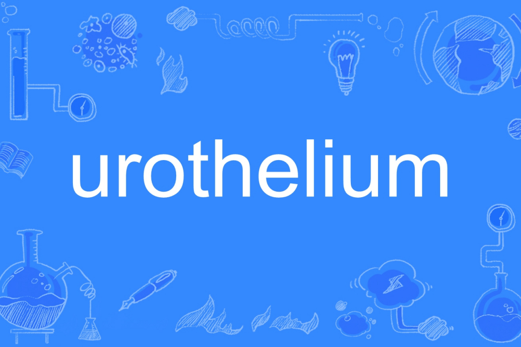 urothelium urothelium