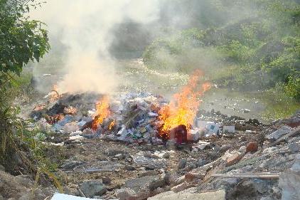 秦堰村(河南南陽市新野縣沙堰鎮下轄村)