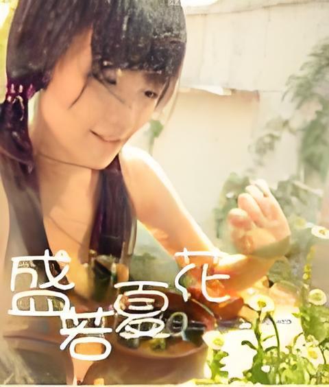 盛若夏花 盛若夏花