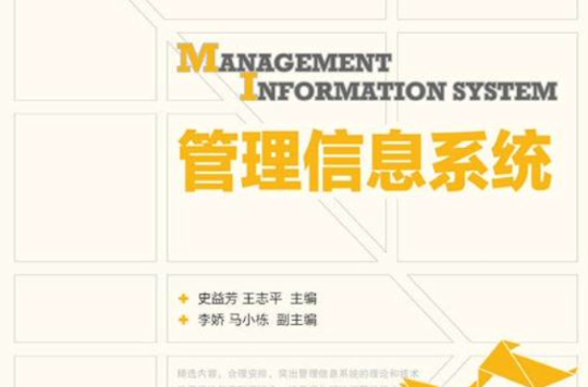 管理信息系統(2013年史益芳和王志平主編圖書)