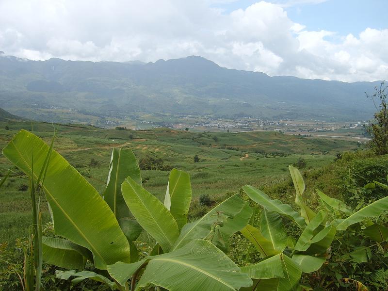 悶溝村 悶溝村