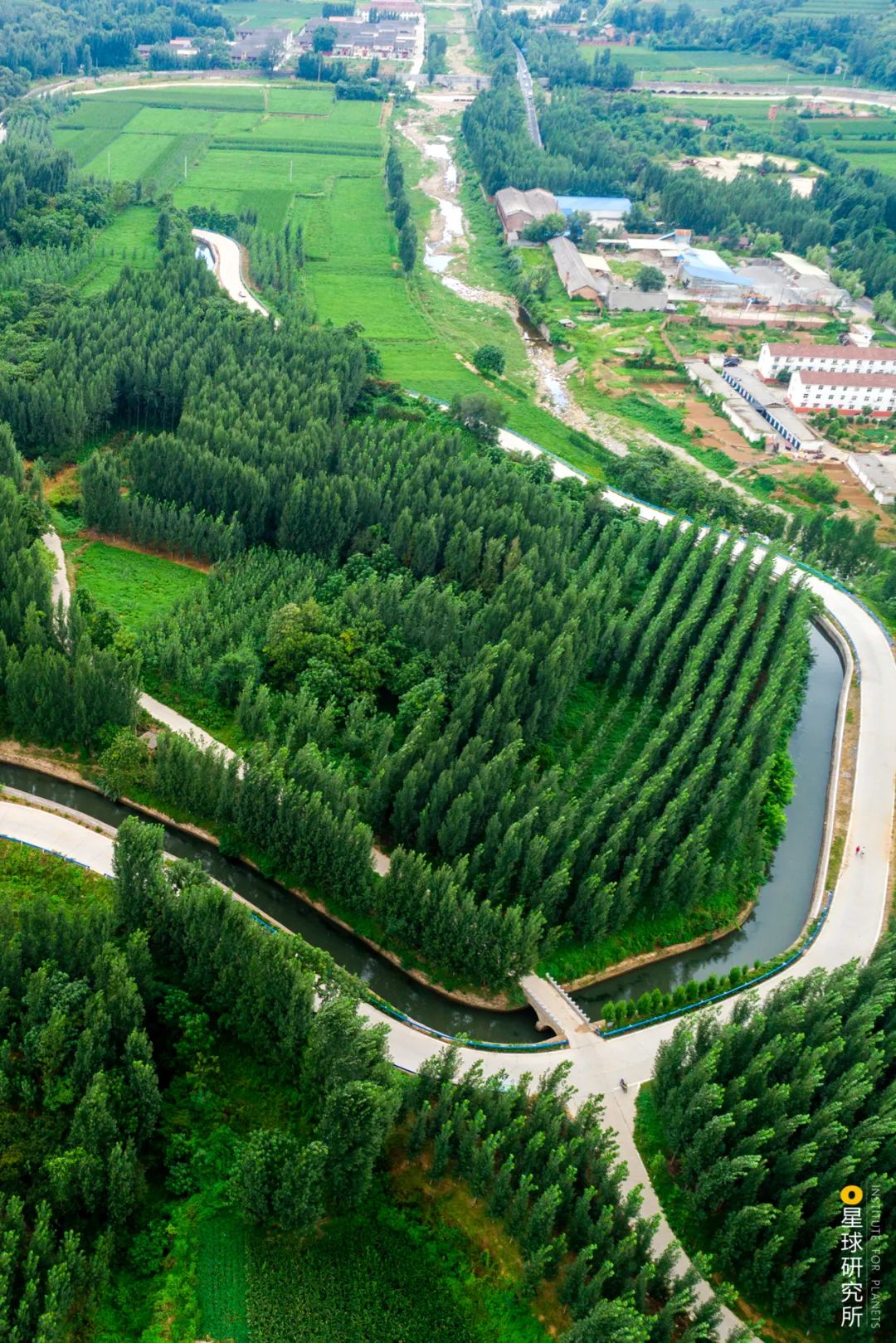 植樹造林，如何改變中國？
