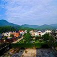 高合村 高合村