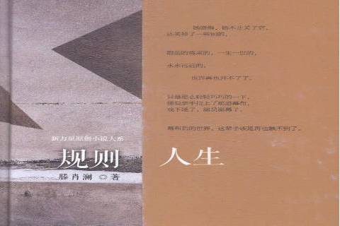 規則人生(2015年安徽文藝出版社出版的圖書) 規則人生(2015年安徽文藝出版社出版的圖書)