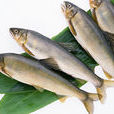香魚