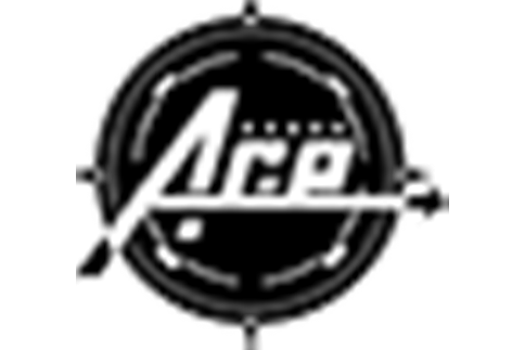 Ace戰隊 Ace戰隊