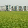 下社村(浙江省溫州市洞頭縣霓嶼鄉下轄村) 下社村(浙江省溫州市洞頭縣霓嶼鄉下轄村)