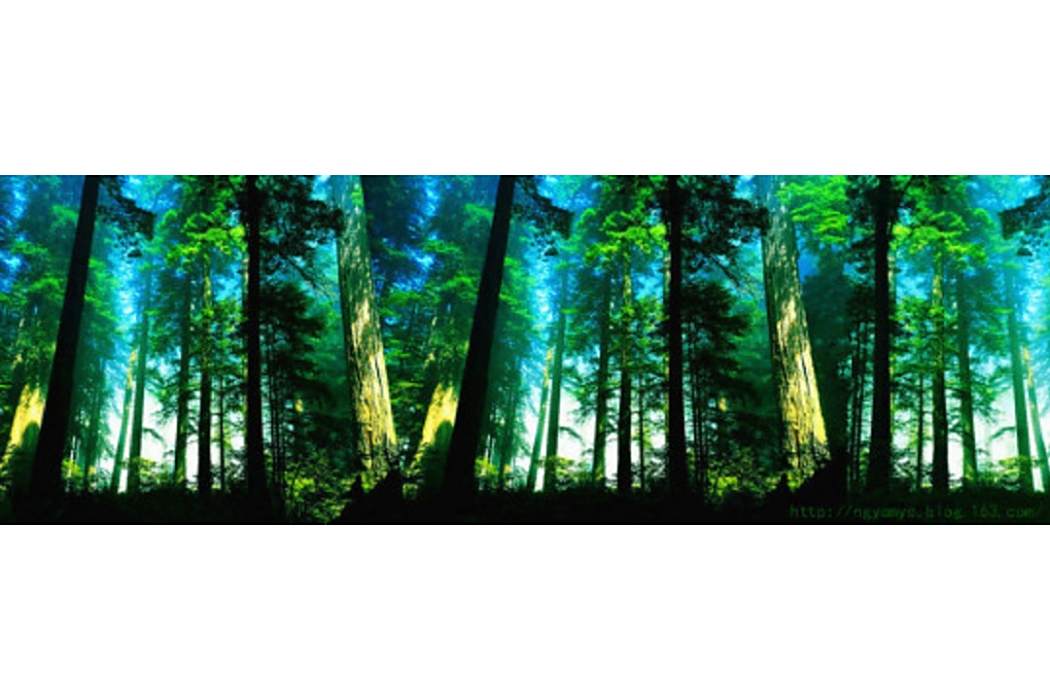green global corp green global corp