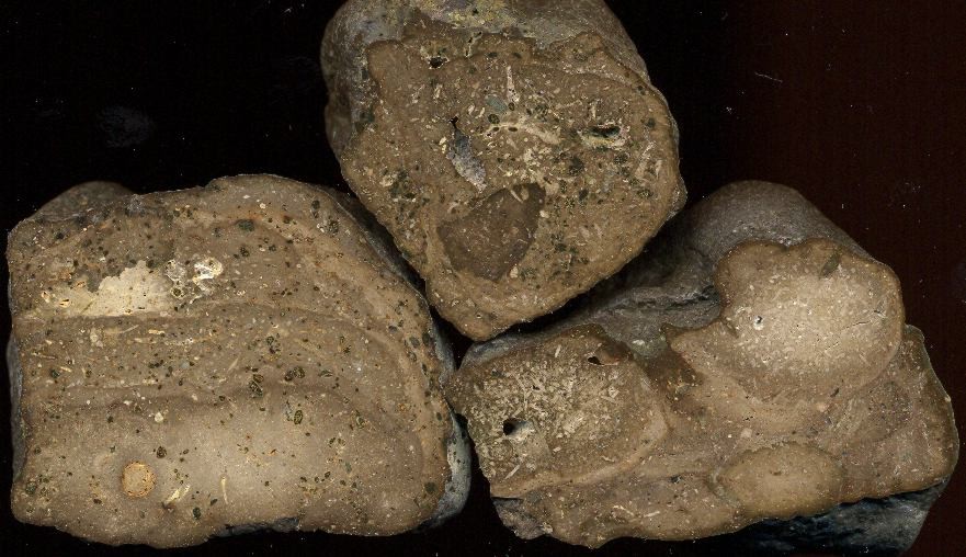 磷塊岩礦石
