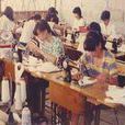 鄉鎮企業