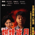 燃燒歲月(電視劇) 燃燒歲月(電視劇)