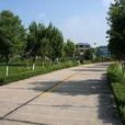 黃路村(河南洛陽市汝陽縣柏樹鄉下轄村) 黃路村(河南洛陽市汝陽縣柏樹鄉下轄村)