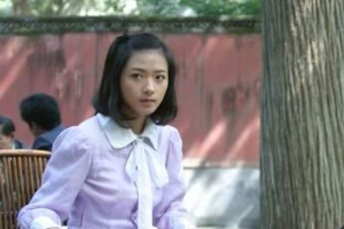 楊柳(《密令1949》中的公安幹警角色)