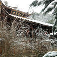 大斗峰 大斗峰