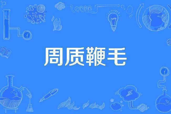 周質鞭毛 周質鞭毛