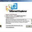 Internet Explorer 5.5 Internet Explorer 5.5