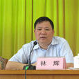 林輝(中南林業科技大學教授) 林輝(中南林業科技大學教授)