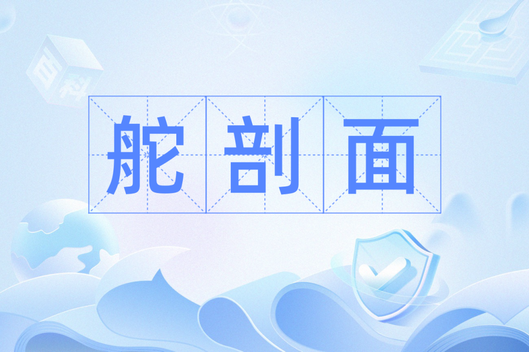 舵剖面 舵剖面